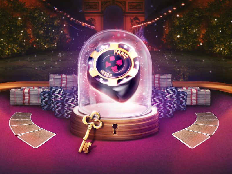 WinPort Casino Live Betting